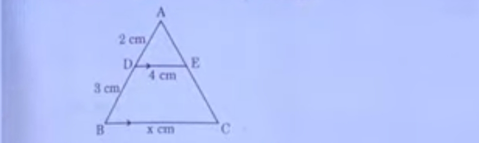 CBSE Class 10 Maths Answer Key 2024 for Standard & Basic Set 1,2,3 -_9.1