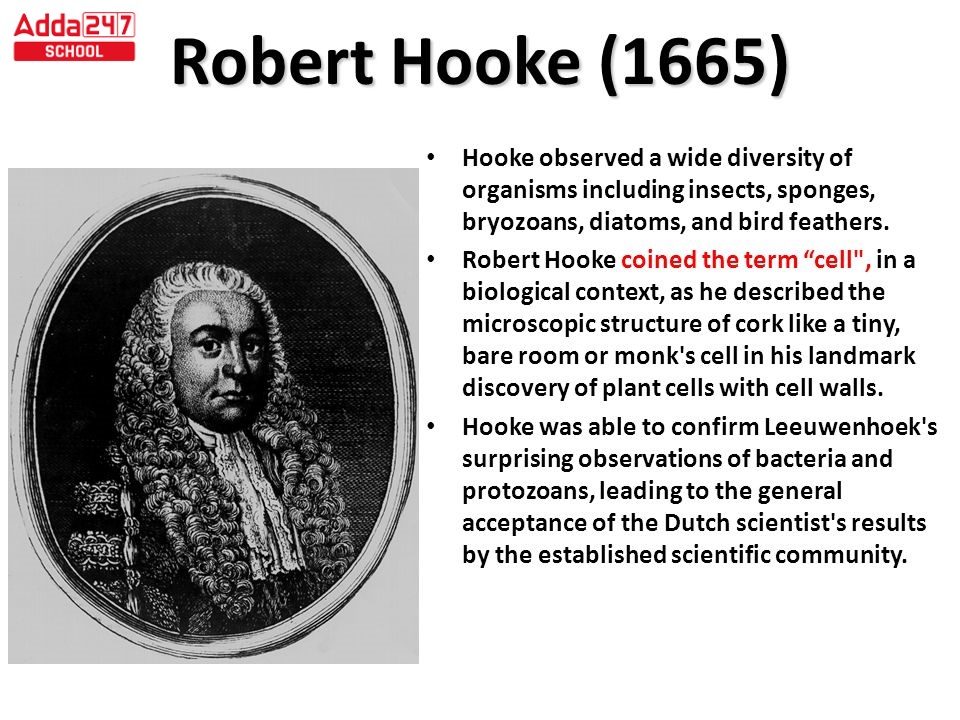 Who discovered cell and how theory
