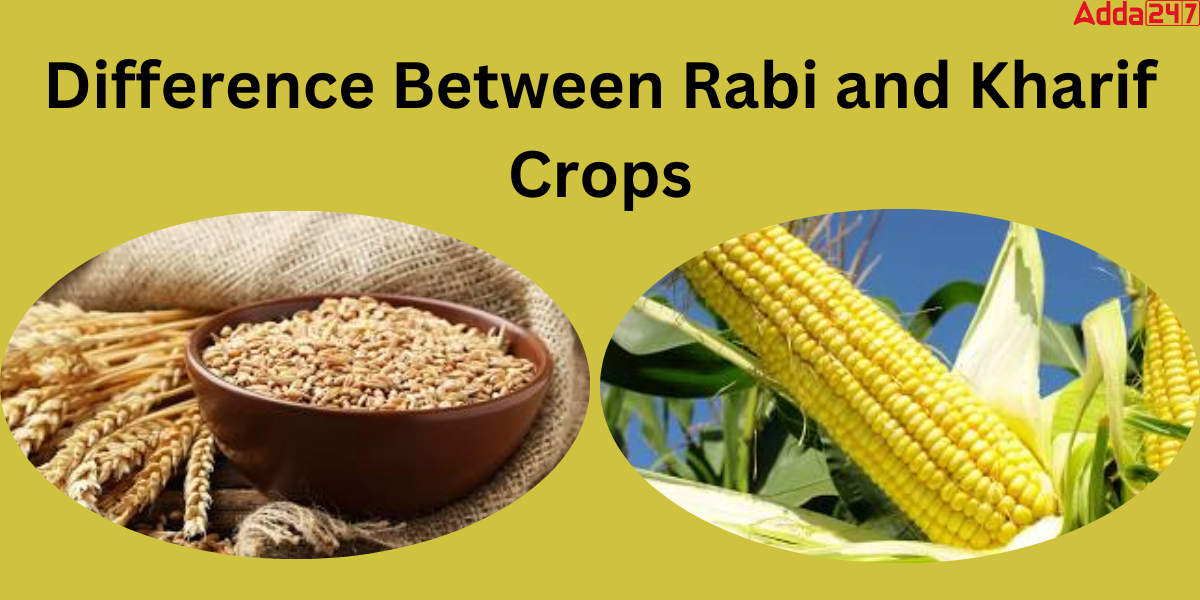 Difference Between Rabi and Kharif Crops