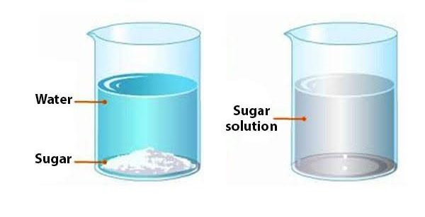 Homogeneous and Heterogeneous Mixtures: Explore 10 Examples of Each -_3.1
