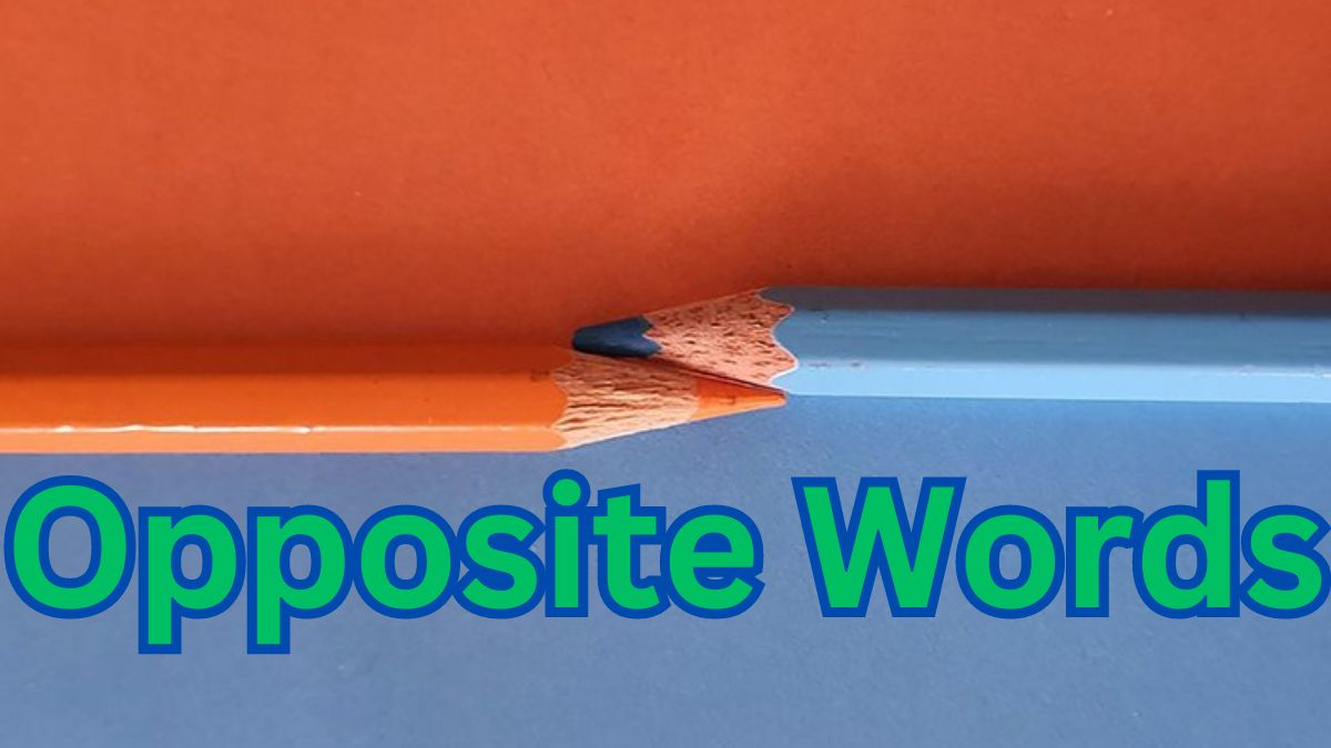 Opposite Words