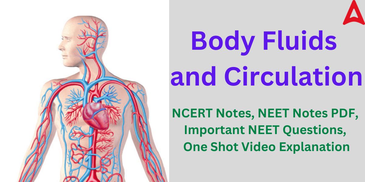 Body Fluids and Circulation