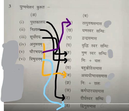 MP Board Class 10th Sanskrit Question Paper 2024, Download Answer Key PDF -_9.1