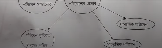 HS Bengali Question Paper 2025 with Answer Key, PDF Download_16.1
