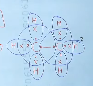 MP Board 10th Science Question Paper 2024 PDF with Answer Key -_6.1