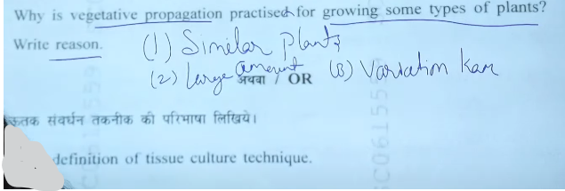 MP Board 10th Science Question Paper 2024 PDF with Answer Key -_9.1