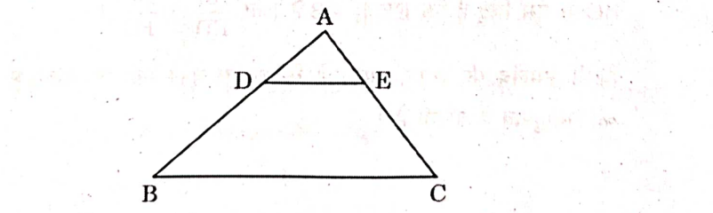 CBSE Class 10 Maths Answer Key 2024 for Standard & Basic Set 1,2,3 -_6.1