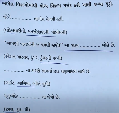 GSEB SSC Gujarati Question Paper 2024, Gujarati Answer Key PDF -_5.1