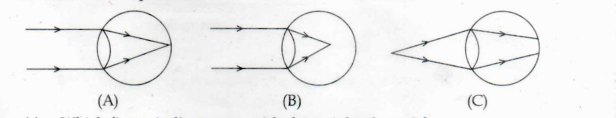 Kerala SSLC Physics Answer Key 2024 with Question Paper -_10.1