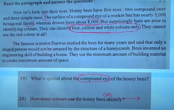 GSEB SSC English Question Paper 2024, Class 10 Answer Key, Model Paper -_12.1