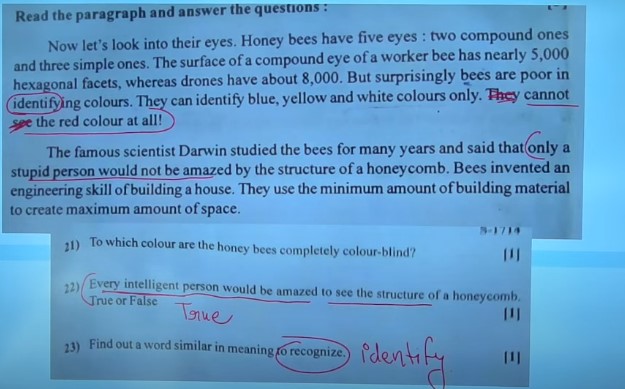 GSEB SSC English Question Paper 2024, Class 10 Answer Key, Model Paper -_13.1