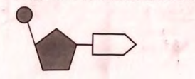 SSLC Biology Answer Key 2024 with Question Paper -_9.1