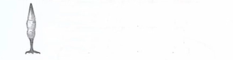 SSLC Biology Answer Key 2024 with Question Paper -_4.1