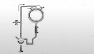 SSLC Biology Answer Key 2024 with Question Paper -_6.1