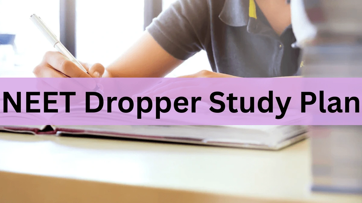 NEET Dropper Study Plan