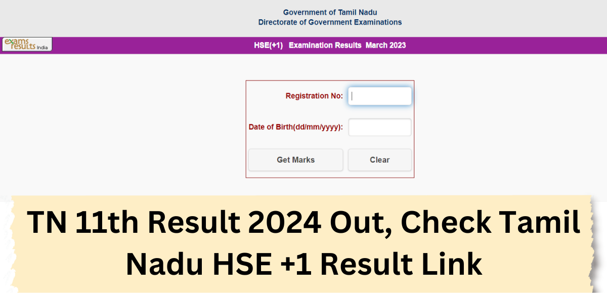 TN 11th Result 2024