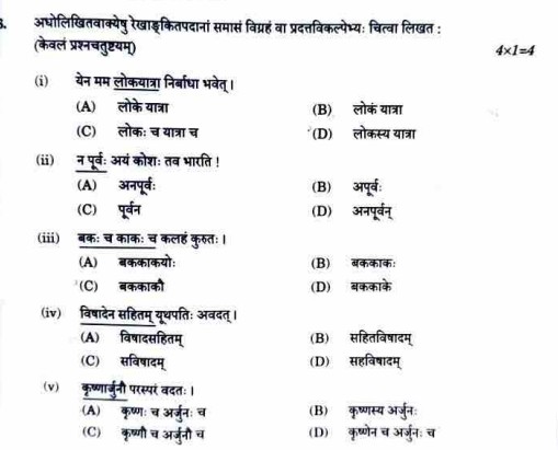 CBSE Class 10 Sanskrit Answer Key 2025 OUT, Download Question Paper with Solutions PDF -_3.1
