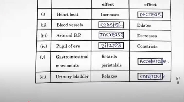 Maharashtra HSC Biology Answer Key 2025, Download Question PDF with Solutions For All Set -_8.1