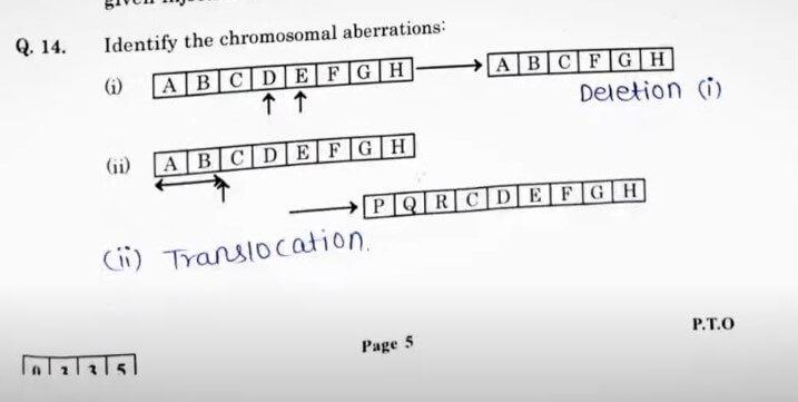 Maharashtra HSC Biology Answer Key 2025, Download Question PDF with Solutions For All Set -_7.1