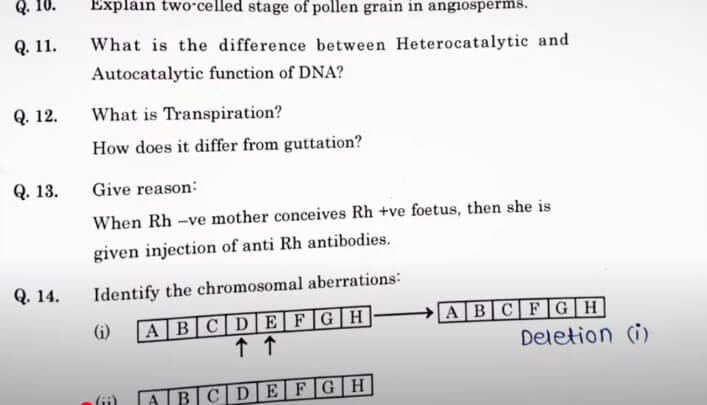 Maharashtra HSC Biology Answer Key 2025, Download Question PDF with Solutions For All Set -_4.1