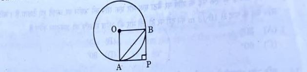 CBSE Class 10 Maths answer key 2025 Q.9