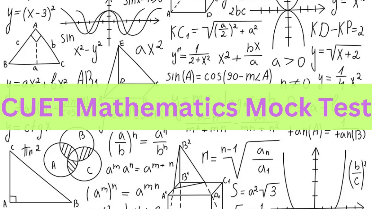 CUET Mathematics Mock Test