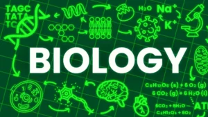 CBSE Class 12 Biology Question Paper 2025
