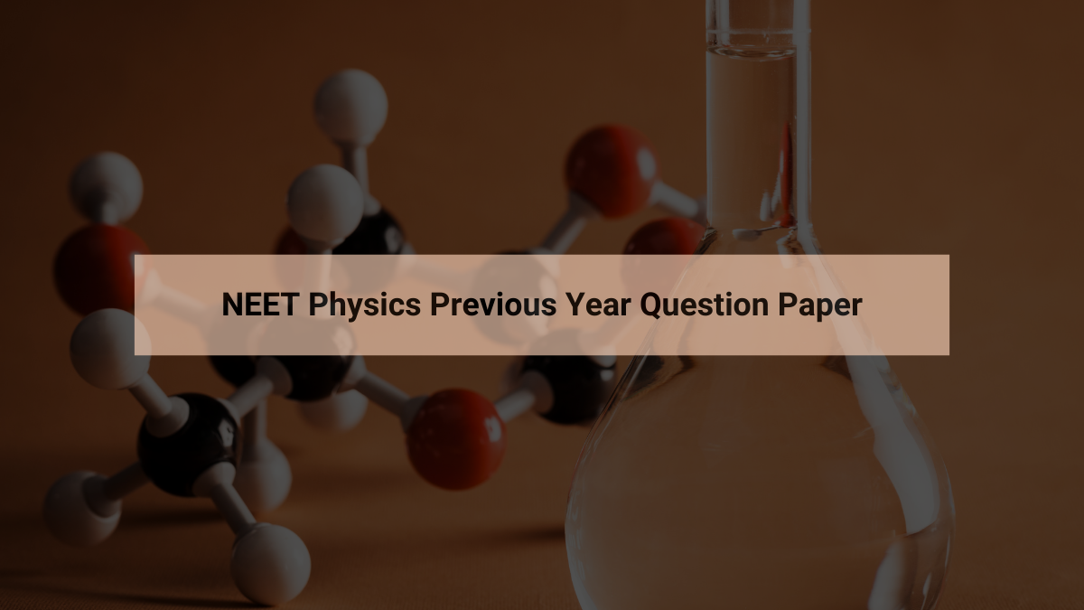 NEET Physics Previous Year Question Paper