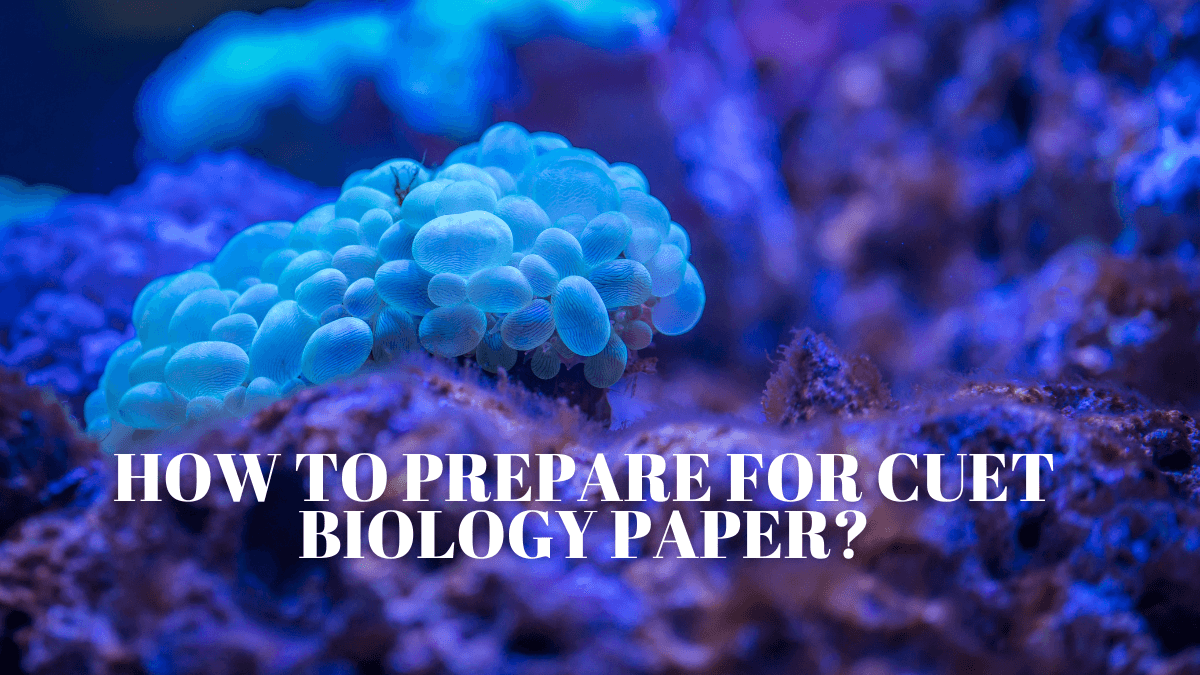 How to score well in CUET Biology Exam 2025