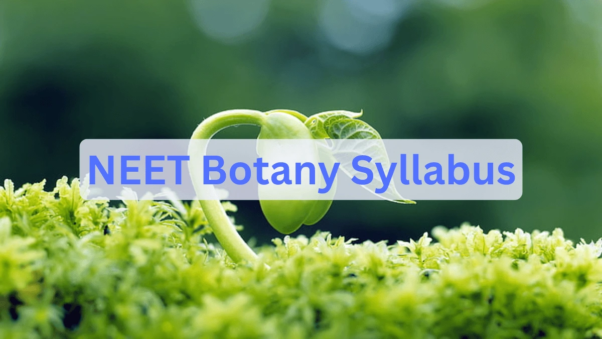 NEET Botany Syllabus