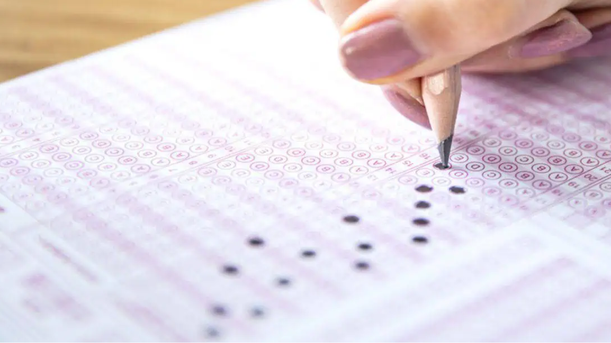 CUET UG 2025 Question Paper