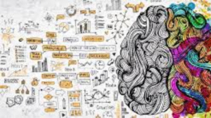 CBSE Class 12 Psychology Sample Paper 2025-26