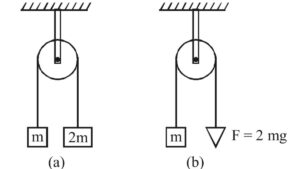 NEET Physics MCQs for Laws of Motion Chapter, Direct Link Here