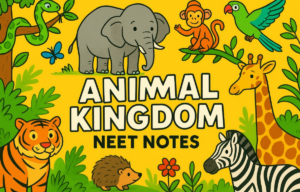 Animal Kingdom NEET Notes