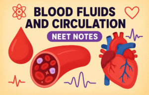Body Fluids and Circulation NEET Notes