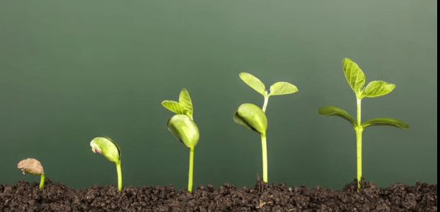 Plant Growth and Development NEET Notes: Smart Tips to Learn and Revise Fast -_5.1