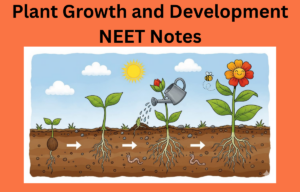 Plant Growth and Development NEET Notes