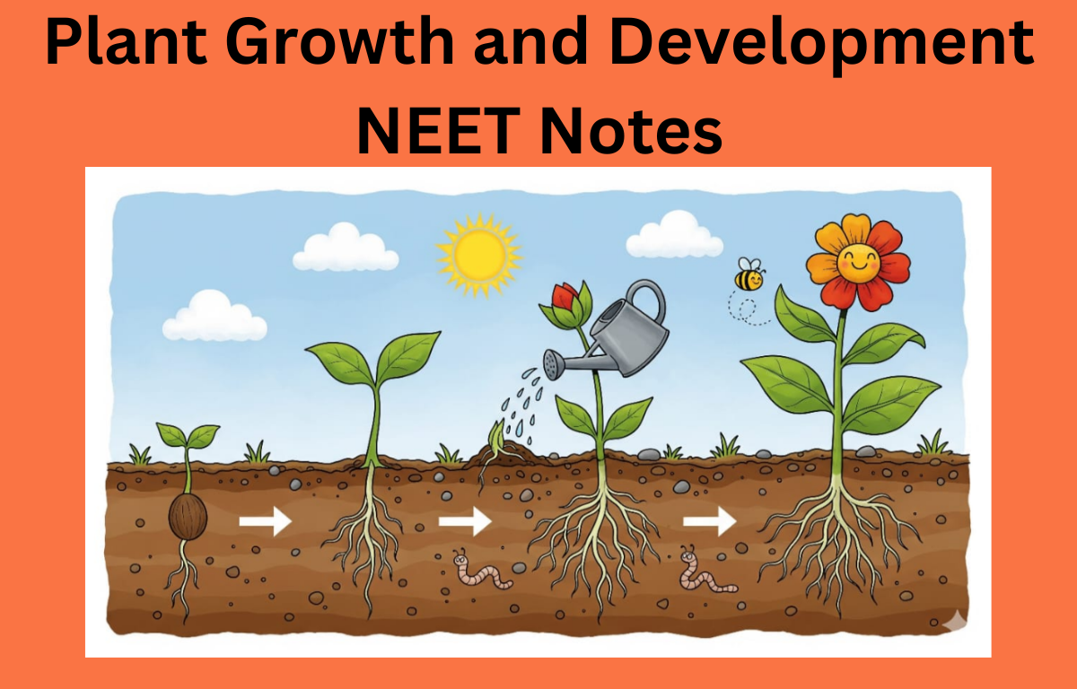 Plant Growth and Development NEET Notes