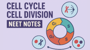 Cell Cycle Cell Division Neet Notes
