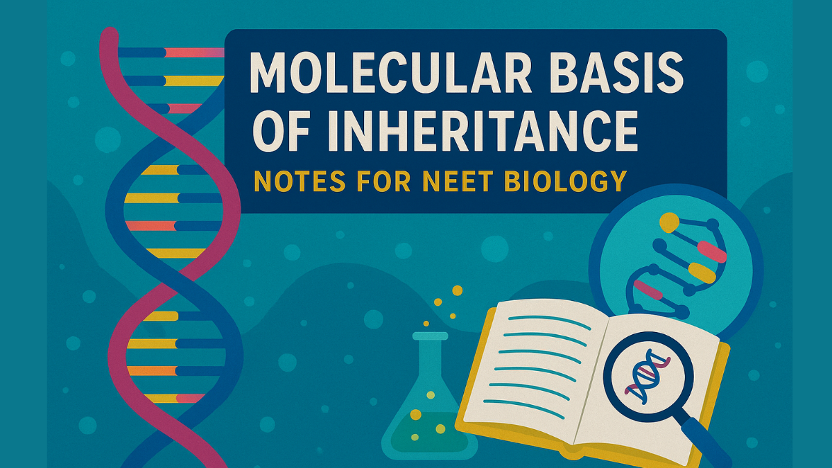 Molecular Basis of Inheritance Notes for NEET Biology