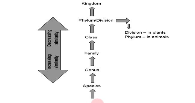 Living World Biology Notes for NEET (Download Free PDF) -_4.1