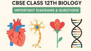 CBSE Class 12th Biology Important Diagrams & Questions
