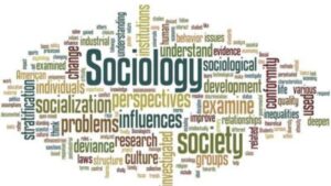 MP Board Class 12 Sociology Syllabus 2026, Download PDF Here