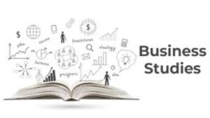 CBSE Class 12 Business Studies Previous Year Question Papers, Download PDF