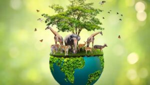Biodiversity and Conservation NEET Notes, Download PDF