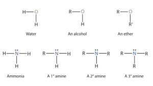 Amines NEET Notes, Check Important Questions