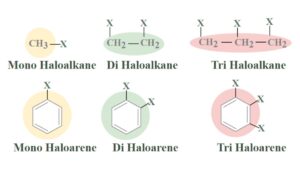 Haloalkanes and Haloarenes NEET Notes, Check Important Questions