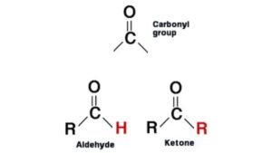 Aldehydes, Ketones and Carboxylic Acids NEET Notes, Check Important Questions