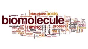 Biomolecules and Practical Organic Chemistry NEET Notes, Check Important Questions