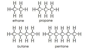 Hydrocarbon NEET Notes, Check Important Questions